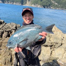 やっぱりグレ釣り！