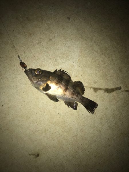 淡路島丸山漁港