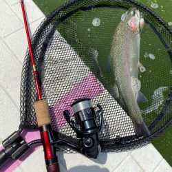 服部緑地ウォーターランド