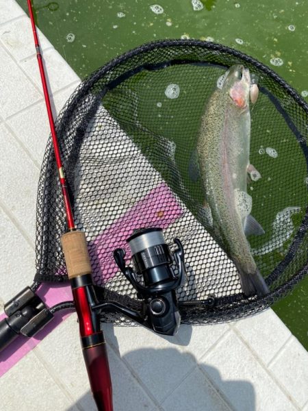 服部緑地ウォーターランド