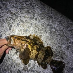 ロックフィッシュ❗þ…