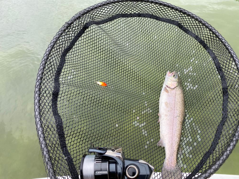 京都亀岡市　かめプー　最高