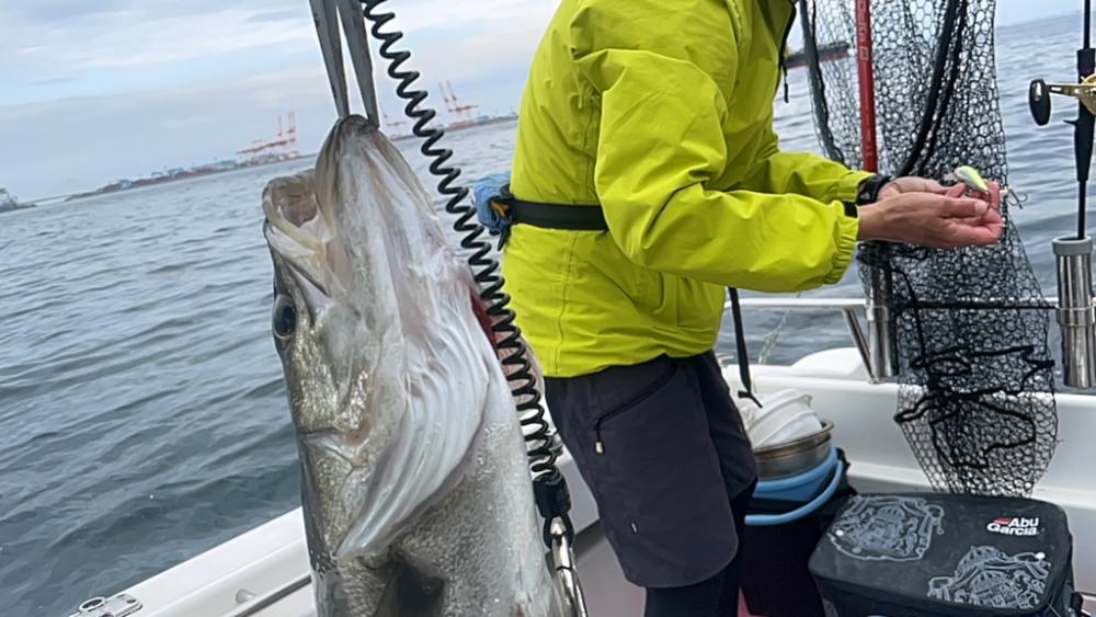 天気と風が全くちゃう（苦笑）