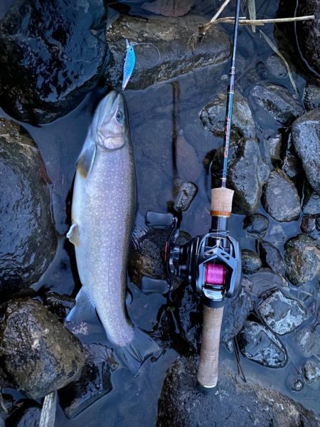 尺か泣き尺か？