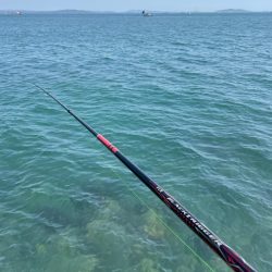 激流に四苦八苦❗️