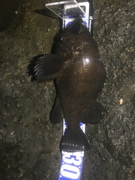 久しぶりの良い釣りでした