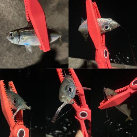 久しぶりの釣り場で