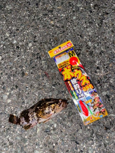 間一髪ボウズのがれ！