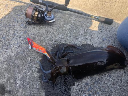 2022初エギング！