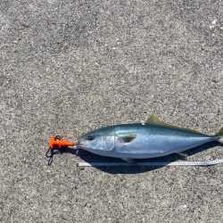 エソ先輩だと思ったら(笑)