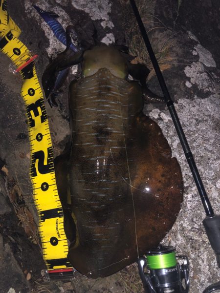 キロアップ第一号!!