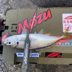 固定観念はダメですね。