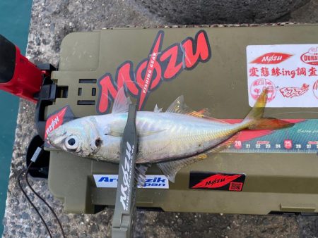 固定観念はダメですね。