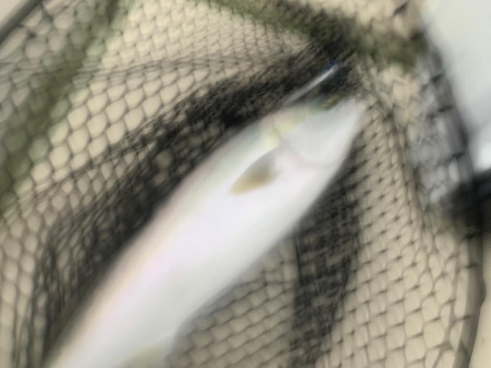 初のオフショアジギングへ