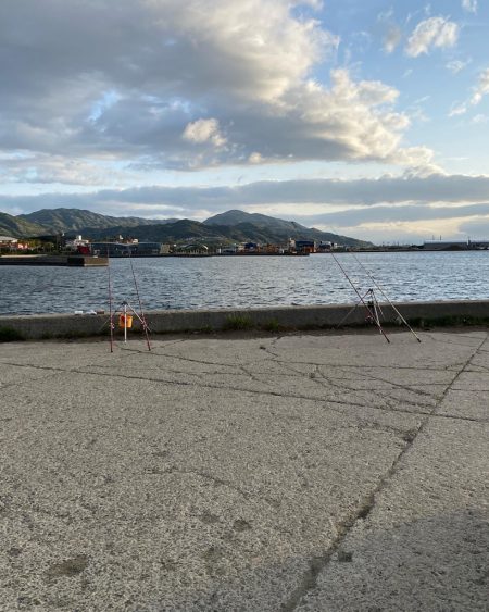 花見カレイ狙い