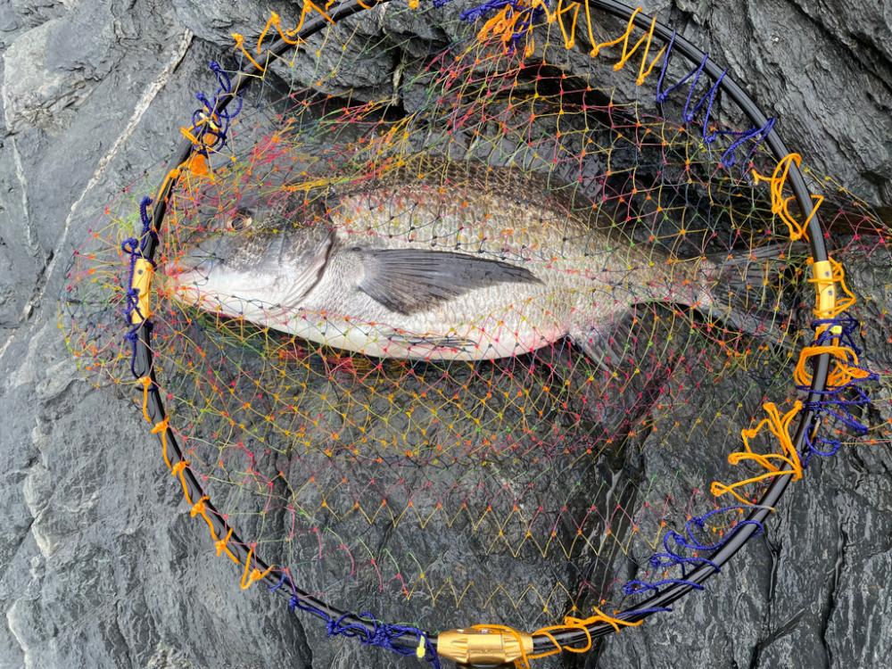 GFG 九州春季懇親（磯・投げ）釣り大会