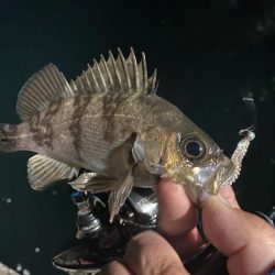 ポイントに合った釣り方