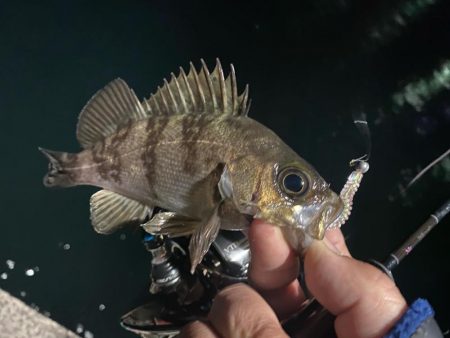 ポイントに合った釣り方