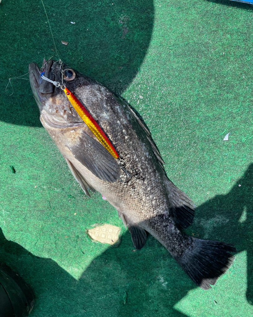 今シーズン初のオフショア釣行