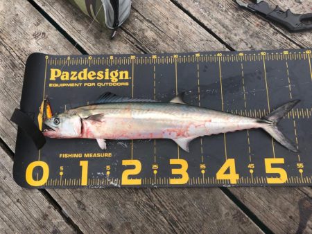 公式公認　初投稿