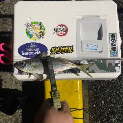 雨が止んでる事に気づいた時のウズウズ