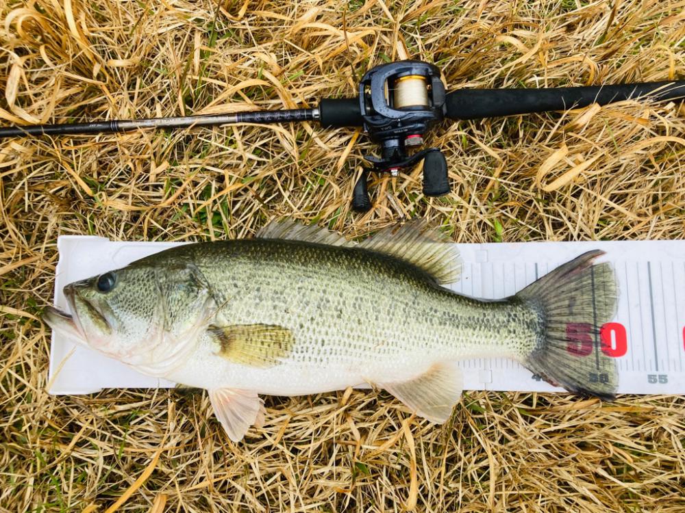 初バスは50up！！