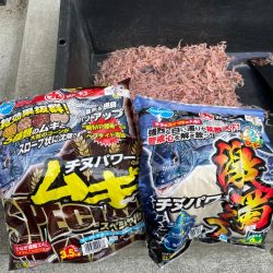 雨にも負けず❗️チヌにも負けず❗️