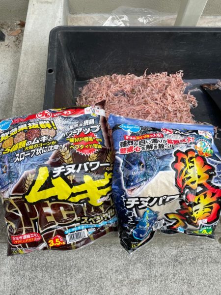 雨にも負けず❗️チヌにも負けず❗️