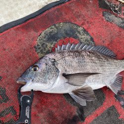 キャスティング