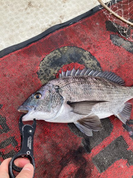 キャスティング