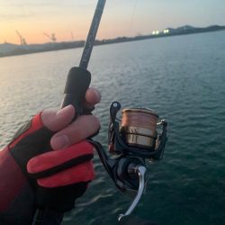 ボトム調査へ〜