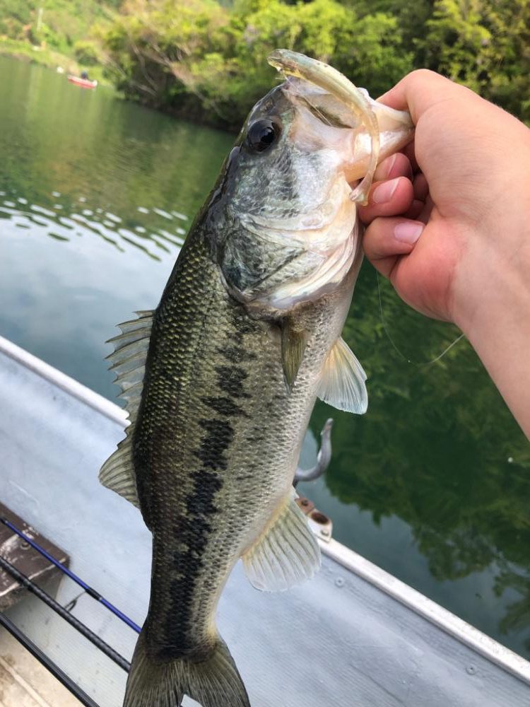 桜池でプチ春爆!?