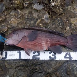 潮が動かず撃沈