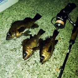 フロートゲーム～