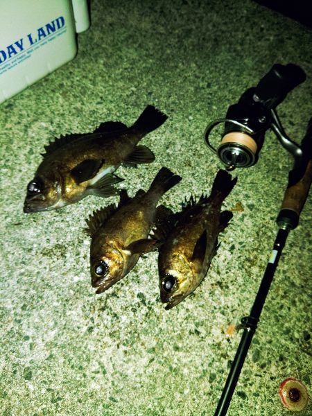 フロートゲーム～