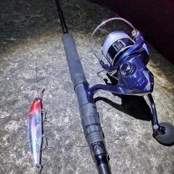 ショアプラッキング