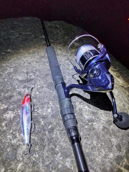 ショアプラッキング