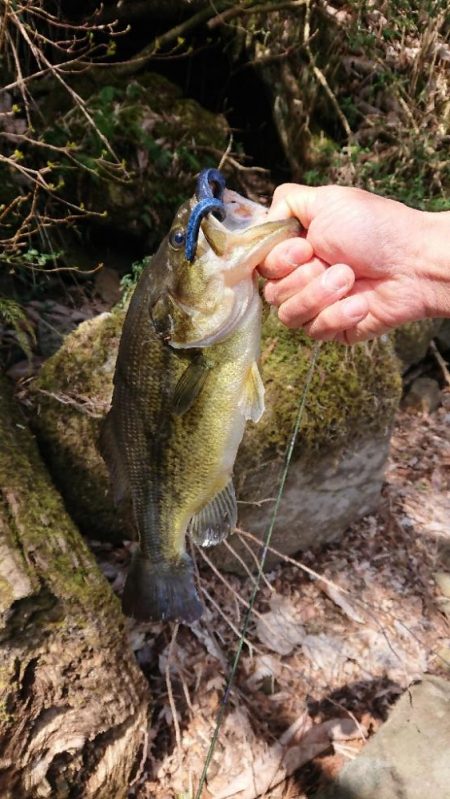 初ポークフィッシュ