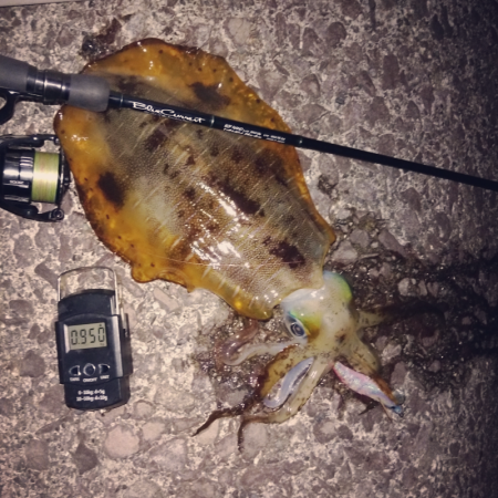 春は近づいてます！