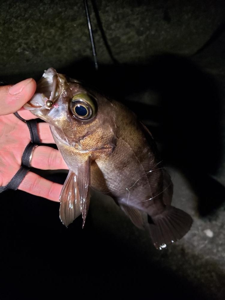 明るくなる前に