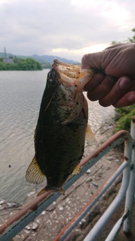 パワーフィネスで小バス