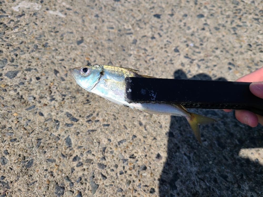 以外なやつが！？