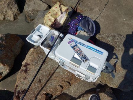 今年初のキス釣り