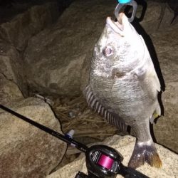 今日は時間がかかった