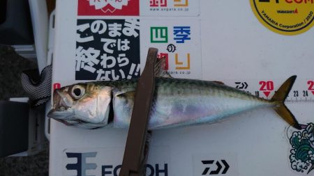 アタリはあるが…