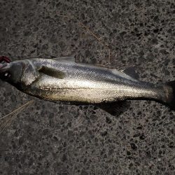 仕事帰りにふらっと♪