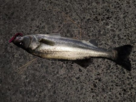 仕事帰りにふらっと♪