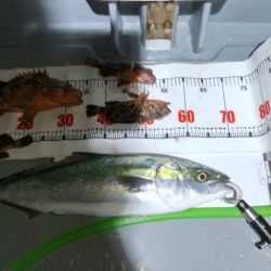 最後の最後に！