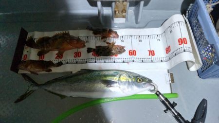 最後の最後に！