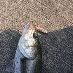 2022停泊船ゲーム1